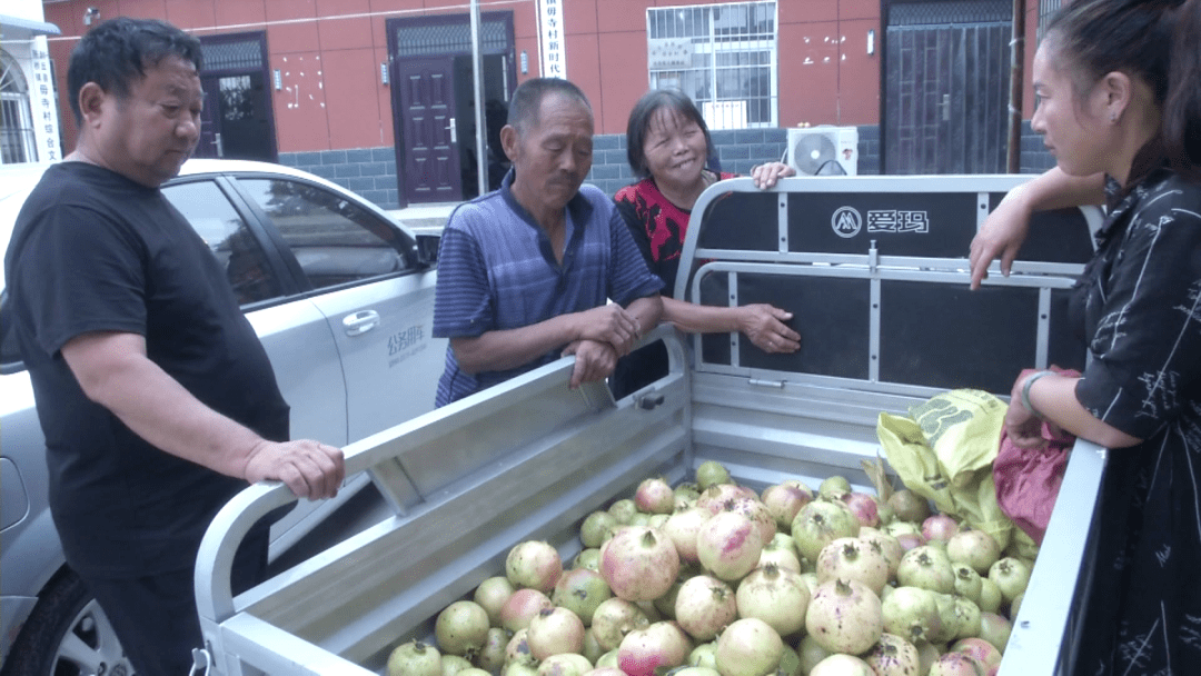 耿岚:"我们的软籽石榴丰产,我是驻村工作队的队长,我们帮扶单位薛主任