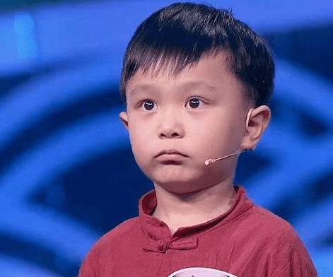 原创中国诗词大会他识字3千熟背诗词5百多首被称为小神童