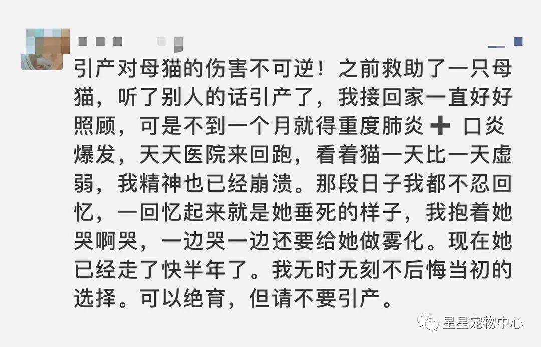 给孕妇流浪猫引产是对的还是错的