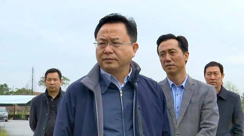 市长郭志泉参加调研.