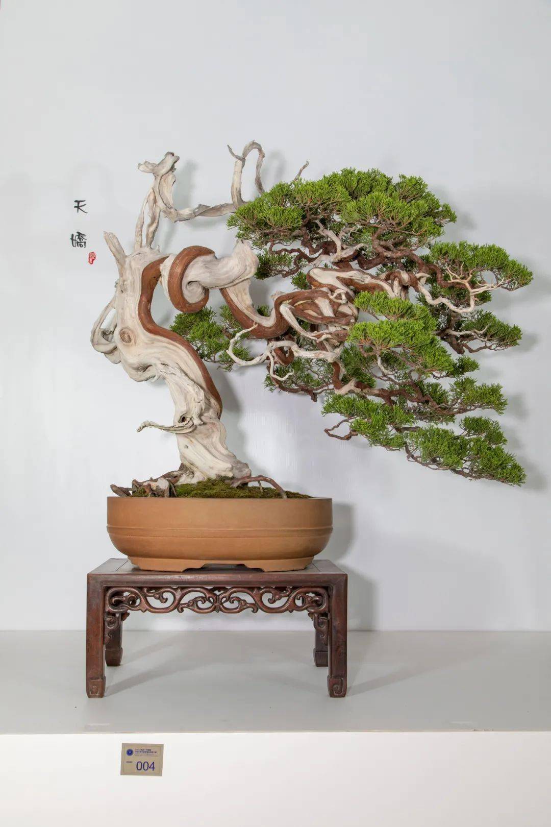 对2020中国尊评选现象的看法暨评奖分数一览_盆景