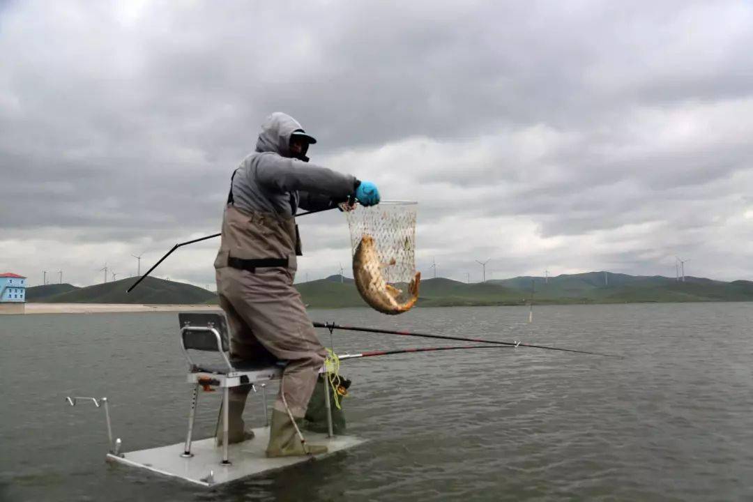 这里是钓鱼人的天堂里面有很多三道鳞