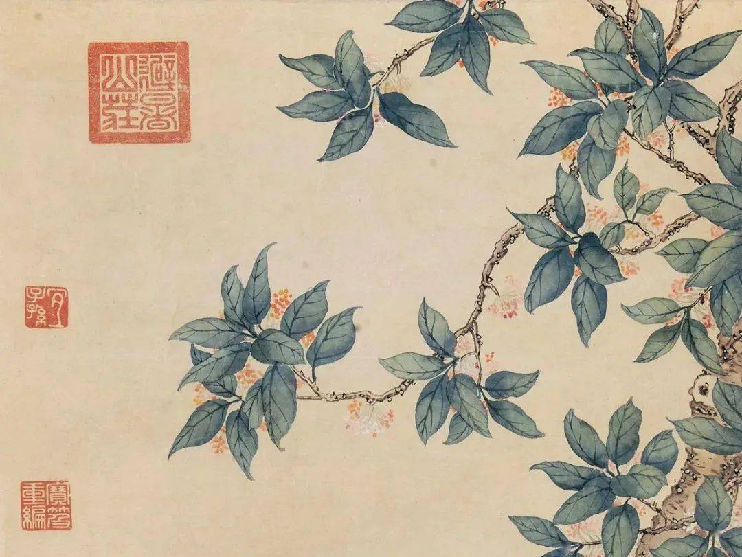 诗词中的桂花,香满了整个秋天_李清照