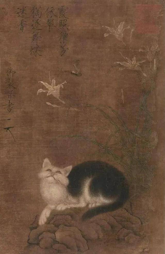 趴在古画里的猫太萌了