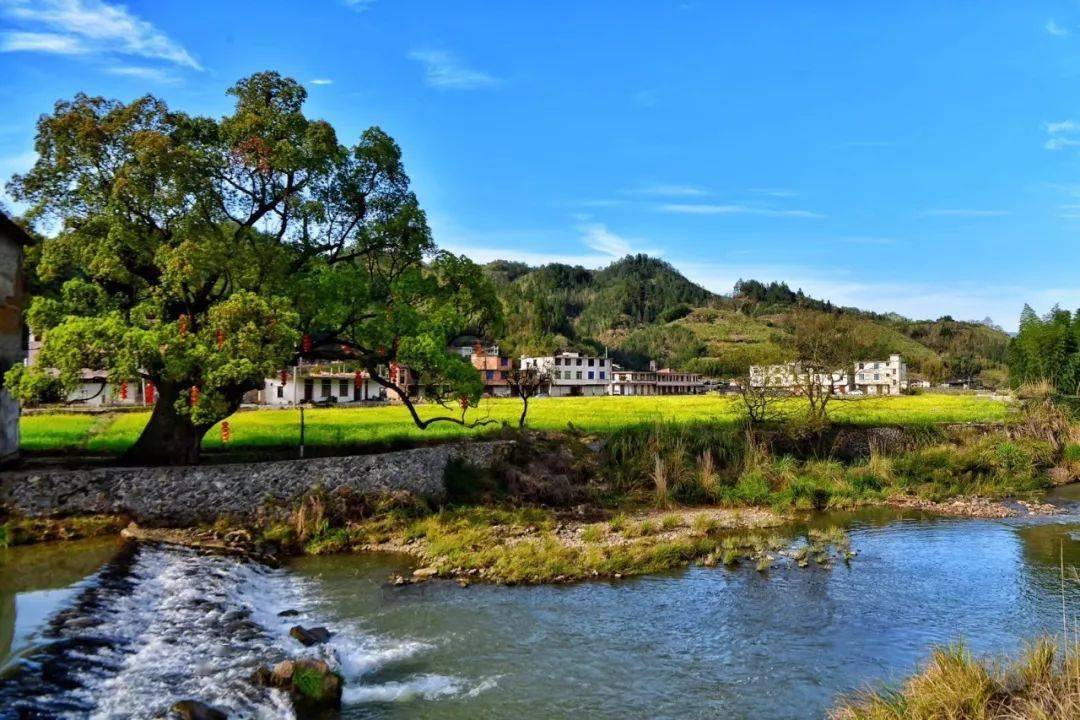喜讯德化县新增两个福建省乡村旅游村快看看是哪里