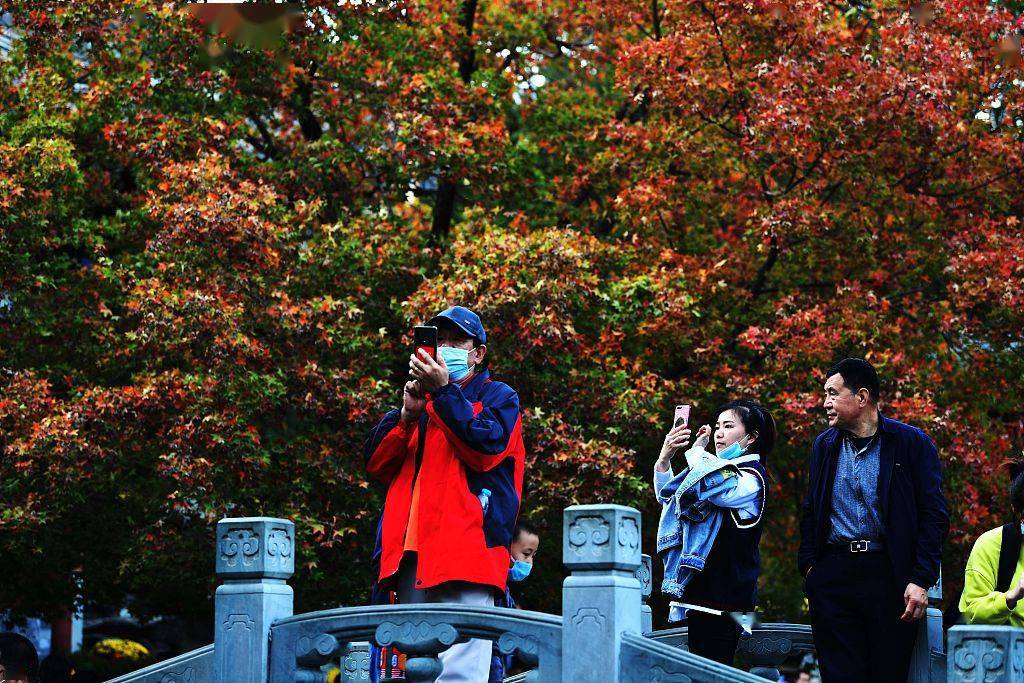 北京香山红叶观赏季迎来首个高峰日人潮汹涌