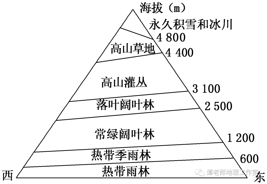 植被带模式图图片