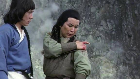 蛇鹤八步所有假装帮助徐英风的人都是为了他身上的拳谱