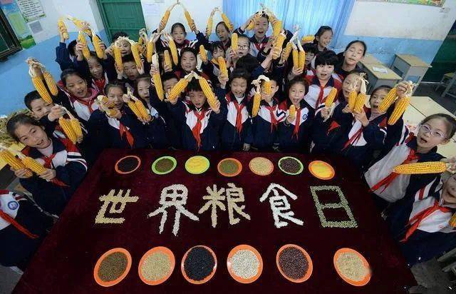 世界粮食日光盘行动拒绝剩宴莫负粮心