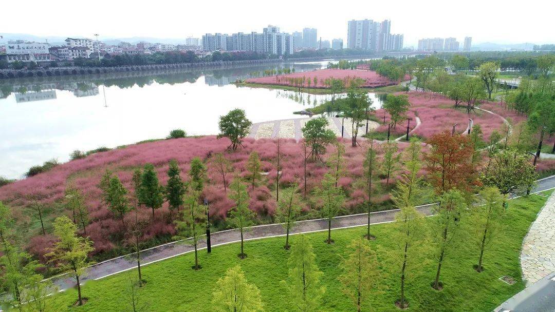 桃花岛再次刷爆朋友圈!粉色花海吸引好多人赶来打卡!