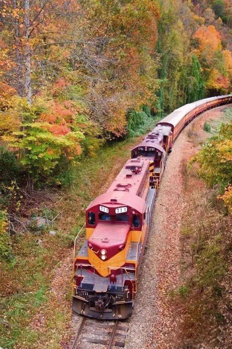 秋天的列车快乐出发