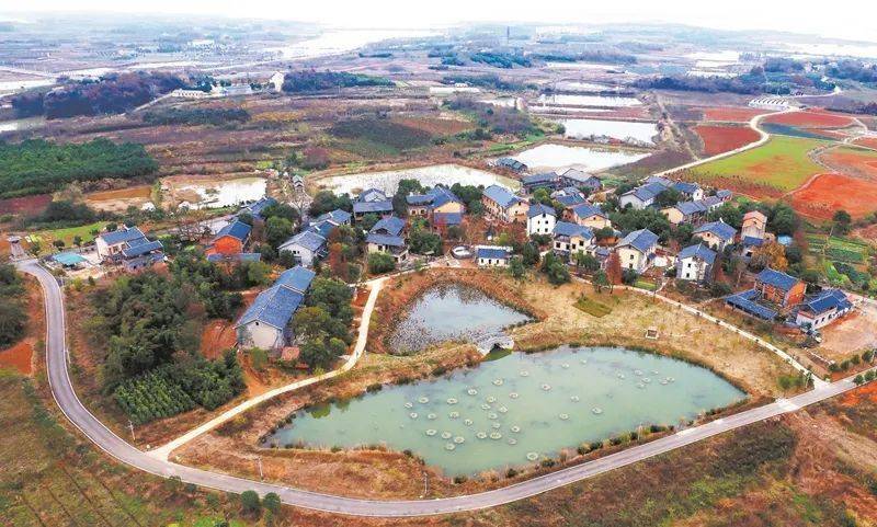 江夏美丽乡村百花齐放绿水青山中辟出精准脱贫路