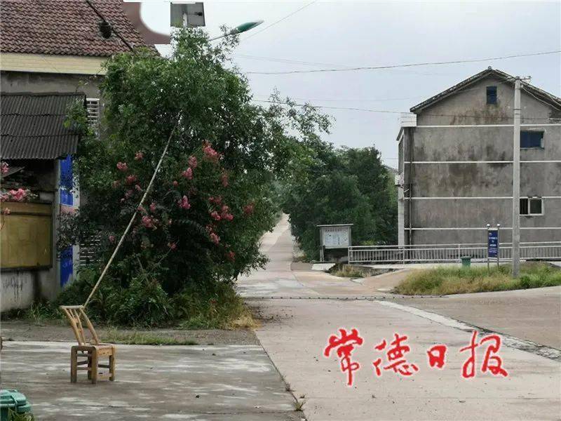 临澧县月星村第一书记谢飞把真心和良心放在中间湖南省扶贫办