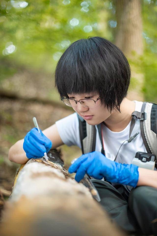 "曳尾菌":从细微之处发现科学之美_周晴烽