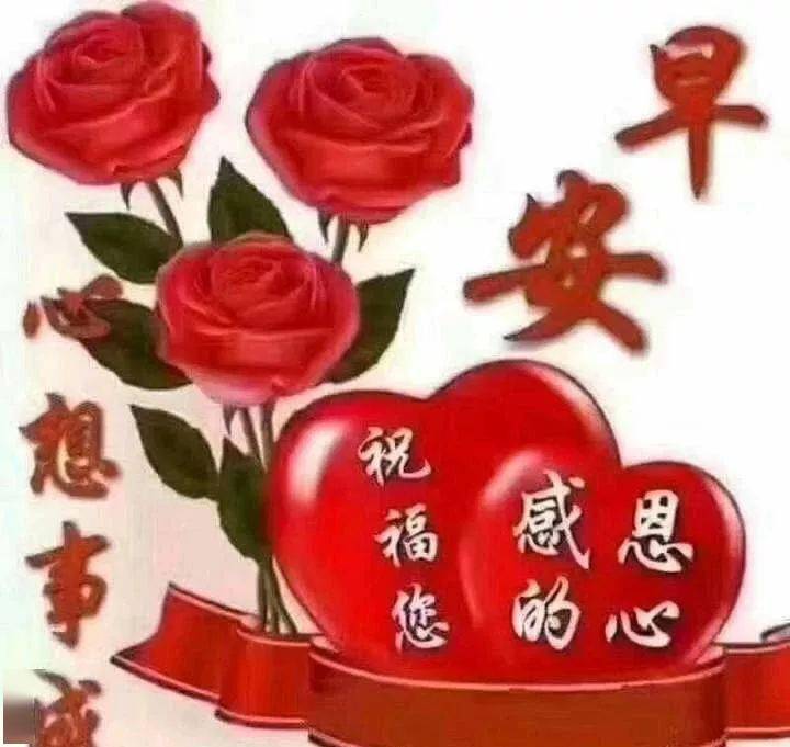 朋友圈唯美陽光的早上好圖片帶字秋天早晨好漂亮鮮花祝福圖片