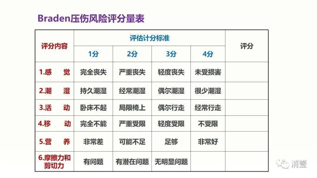 braden评分表图片