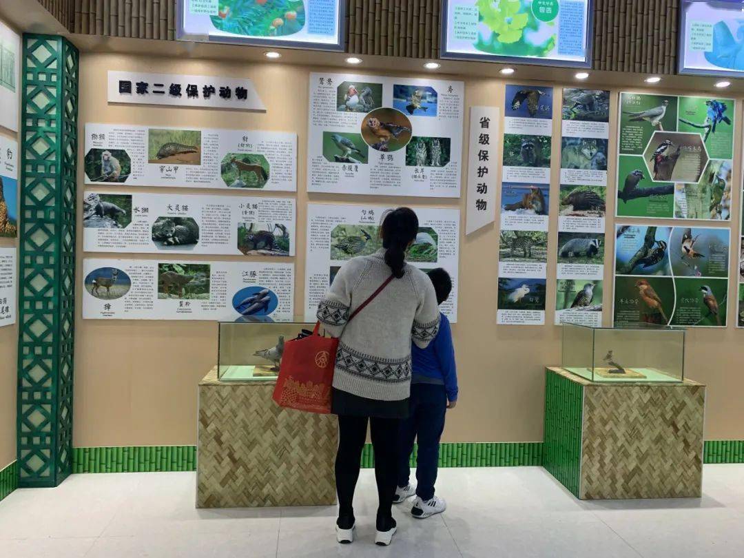 富阳"科普自由行"第46期美丽乡村,智慧农业科普研学活动圆满结束