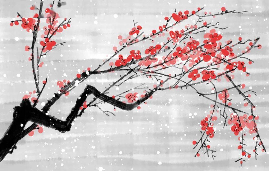 宋词三百首 | 疏影·苔枝缀玉_梅花