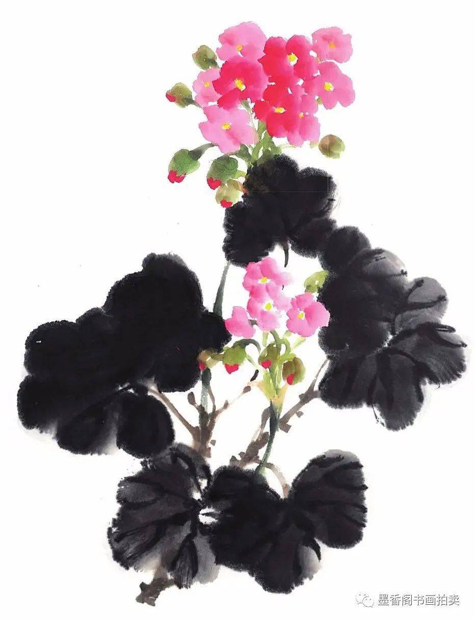 国画教程:写意天竺葵的画法