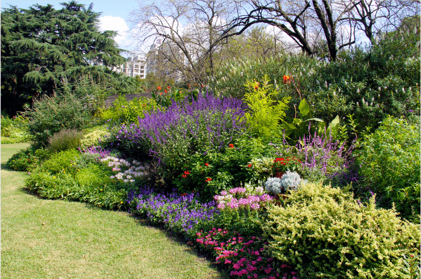 2020年度公园园艺评分结果出炉这些公园带着花坛花境的美图来啦