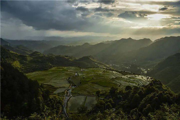 响水洞村:秫熟稻香农民乐 乡村旅游日子火