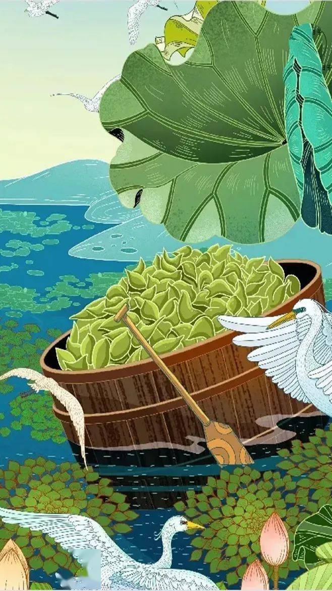 每年的农历七八九月秋季是红菱开花,成熟,收获季节于是采