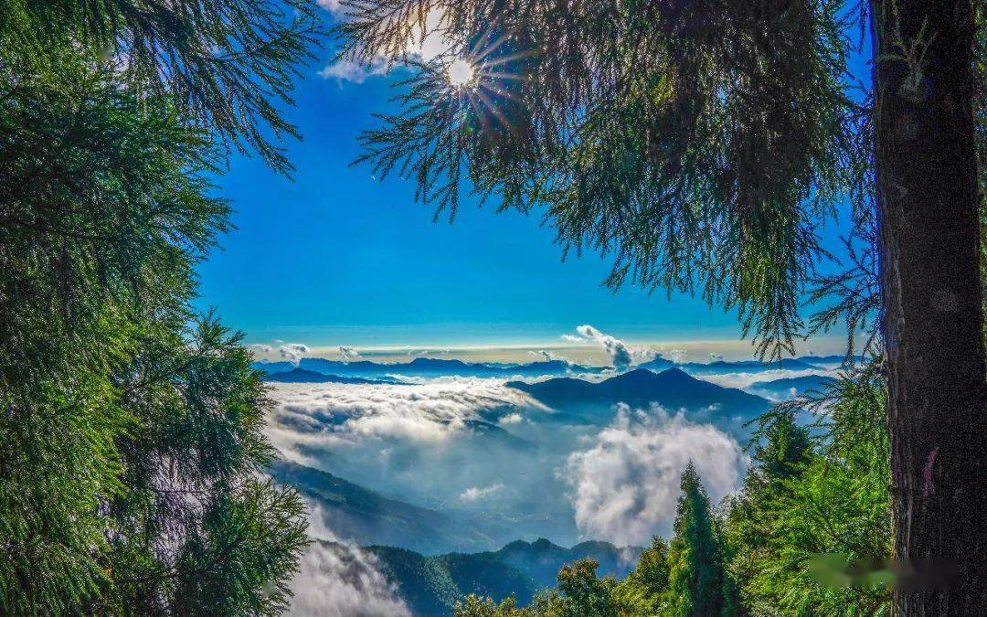 看云海观日出摄影师镜头下的永春天马山太震撼了