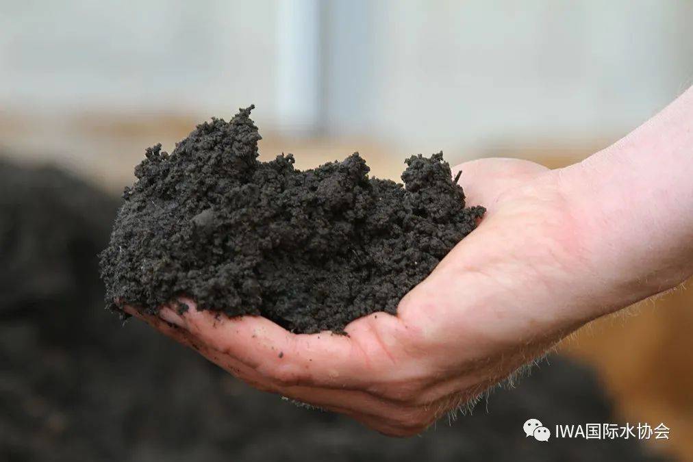 污泥农用的尝试goodsoilbetterearth