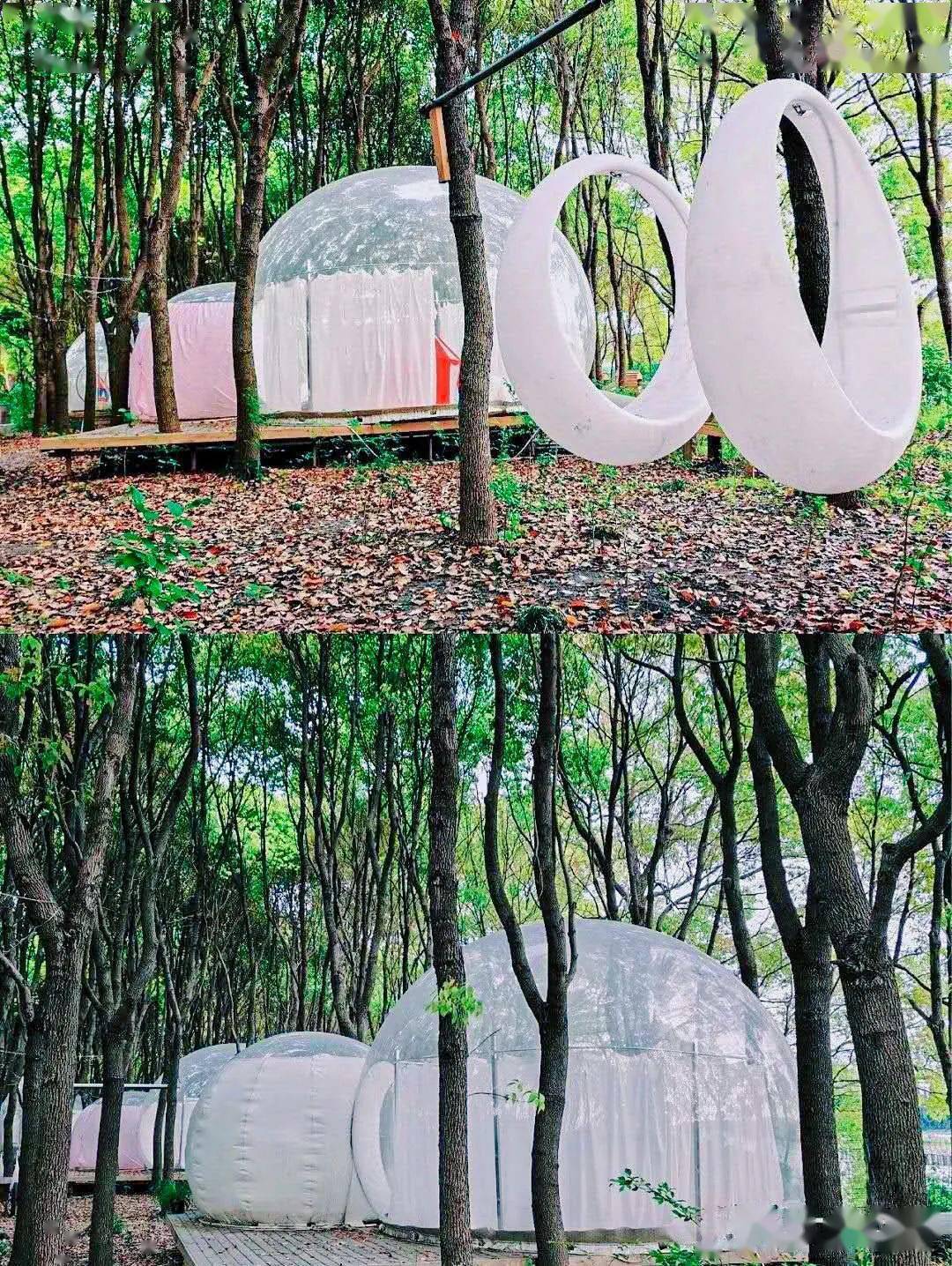上海科幻森林泡泡屋图片