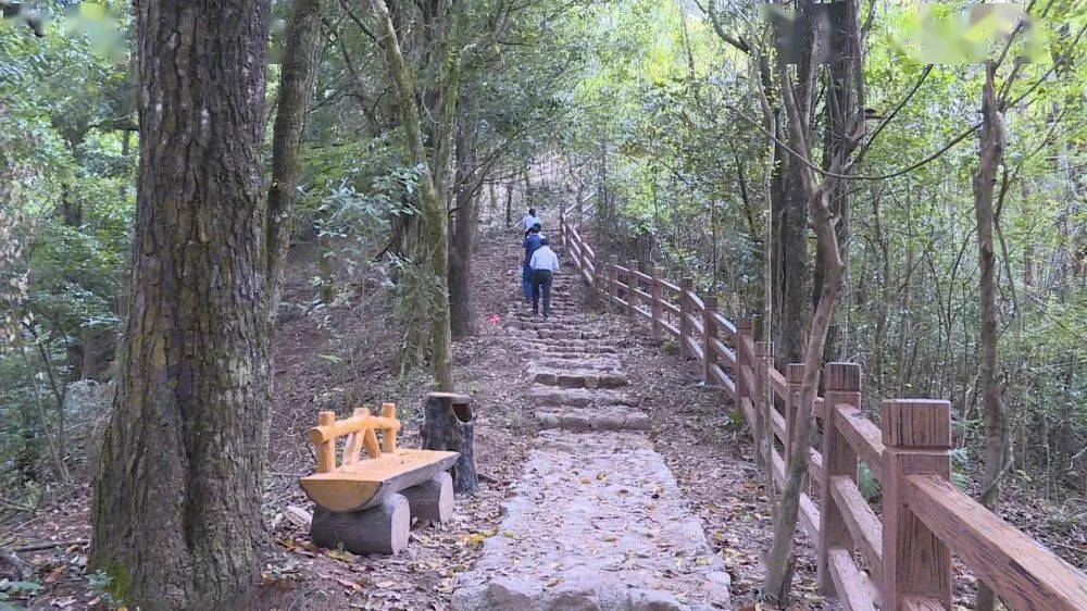 水茜镇岩石寨位于宁化县东北部的水茜镇蕉坑村,是一处人迹罕至的丹霞