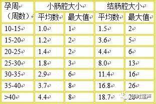 胎儿孕龄小肠和降结肠直径 mm