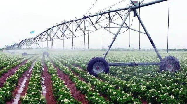 以色列经验哪些值得我们学习?_滴灌