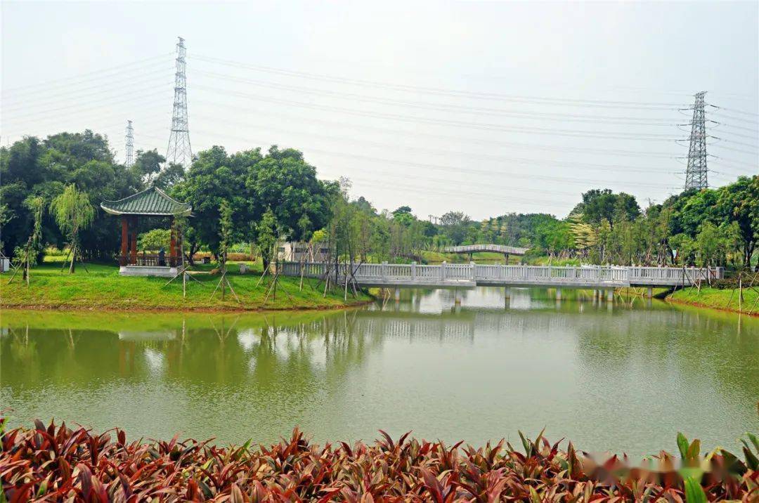 湖面,山体,水景…带你一览禅城中心城区的千亩"绿肺"!_公园