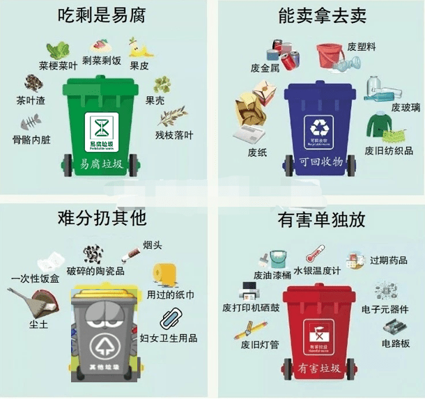 垃圾分类专题|如何进行分类