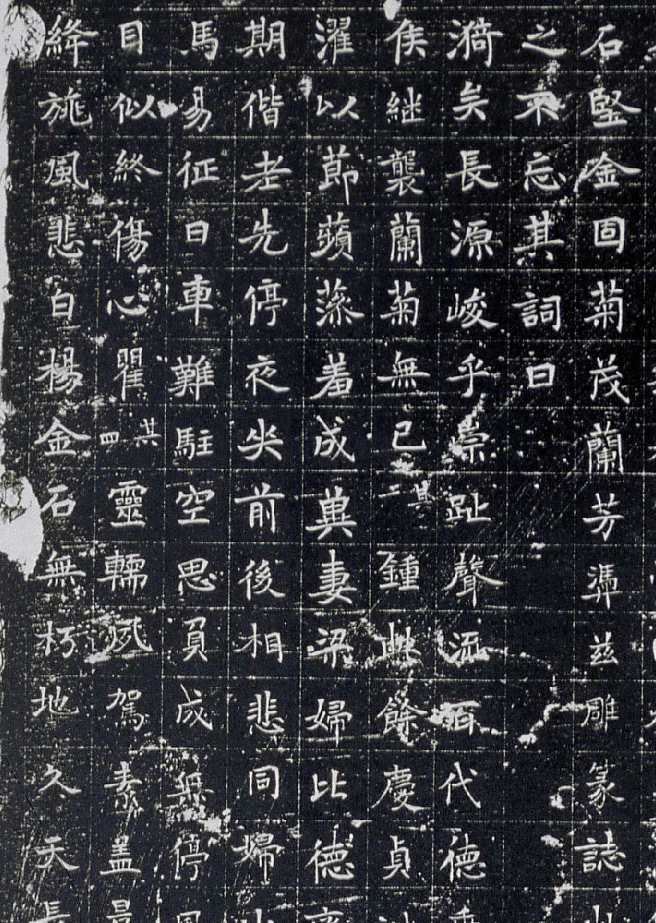 历代碑帖唐高阳令赵君夫人姚氏墓志