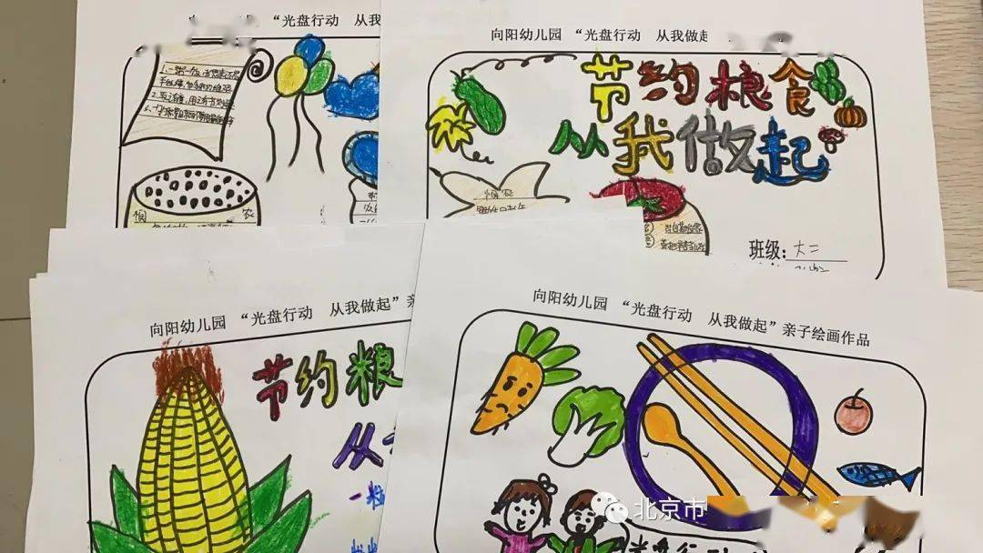 我们都是追"光"者——向阳幼儿园开展"光盘行动 从我做起"系列活动