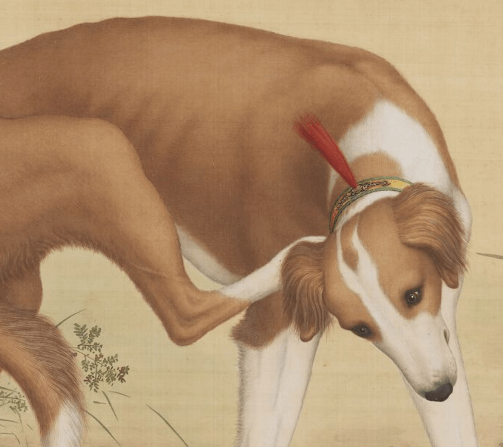 郎世宁笔下的十条名犬