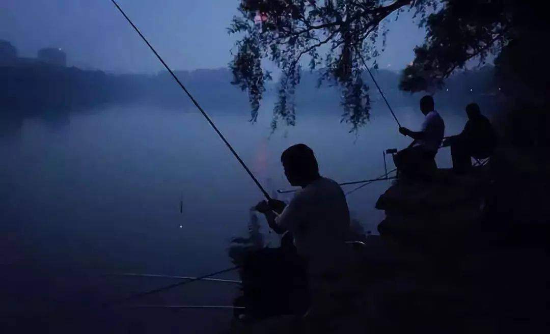 夜间钓鱼只要牢记这3点鱼获翻几倍
