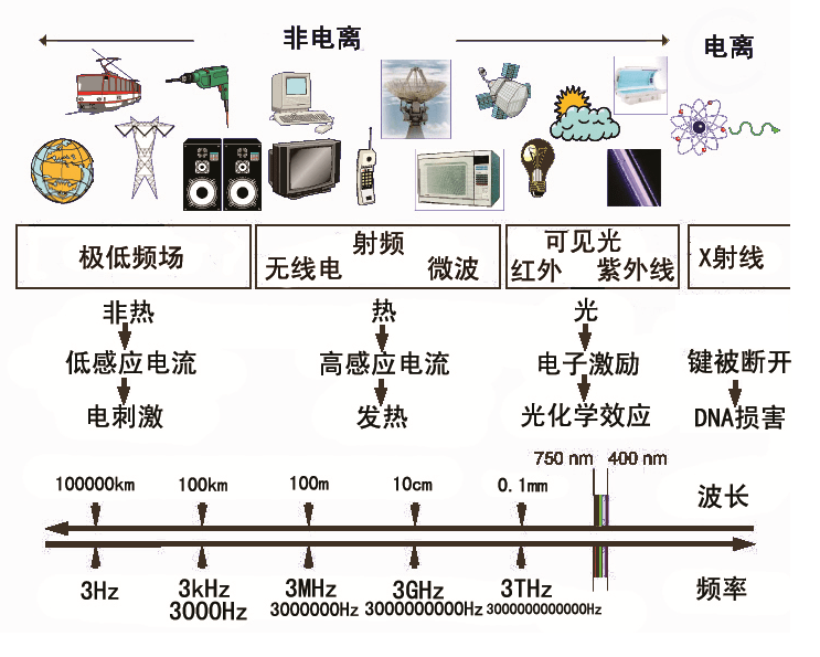 图 