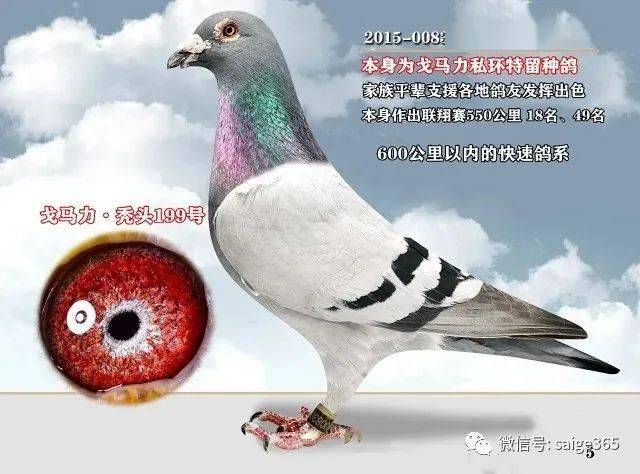 胡维奇因病去世看看他一手缔造的苍白传奇