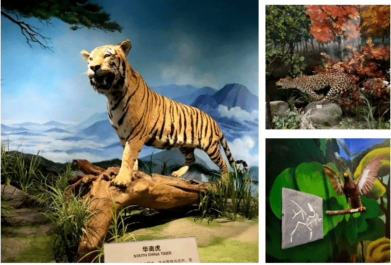 九江这些地方人少好玩还免费你不一定都去过