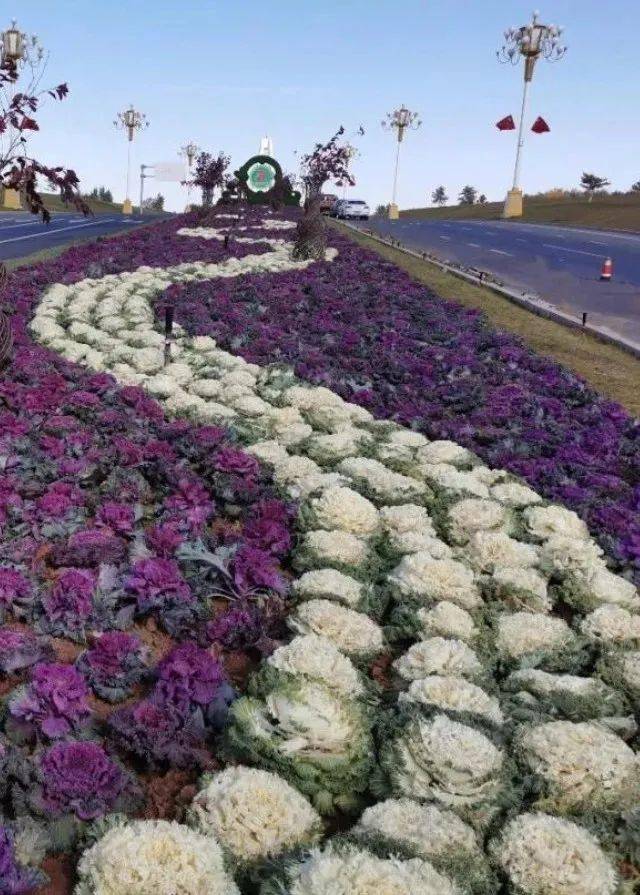 【诗情岁月】葛连光/"醉"美阿镇