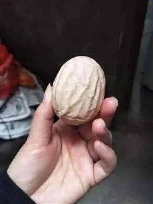 厦门市民买到畸形蛋一头凸起形似乳头这还能吃吗