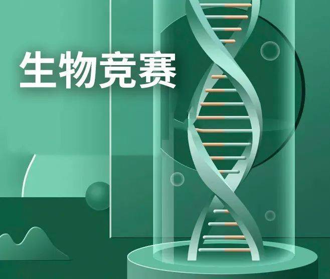 重庆八中五大学科竞赛全面丰收,再创辉煌!_手机搜狐网