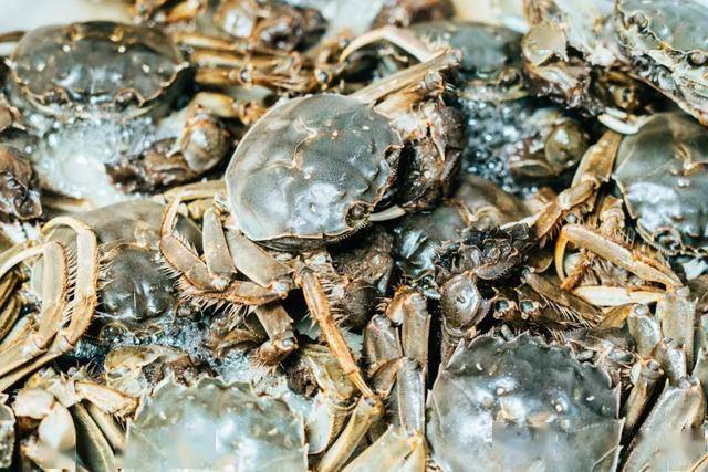 货比三家,总不会吃亏,汈汊湖的螃蟹不像武汉,论只,都是论斤称,不同的