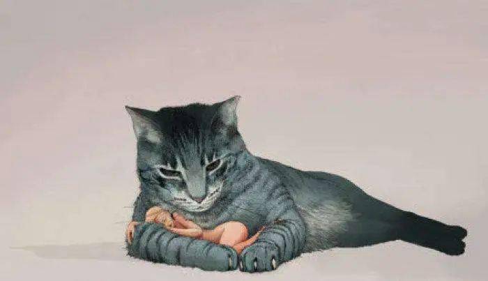 李娟我家过去年代的一只猫