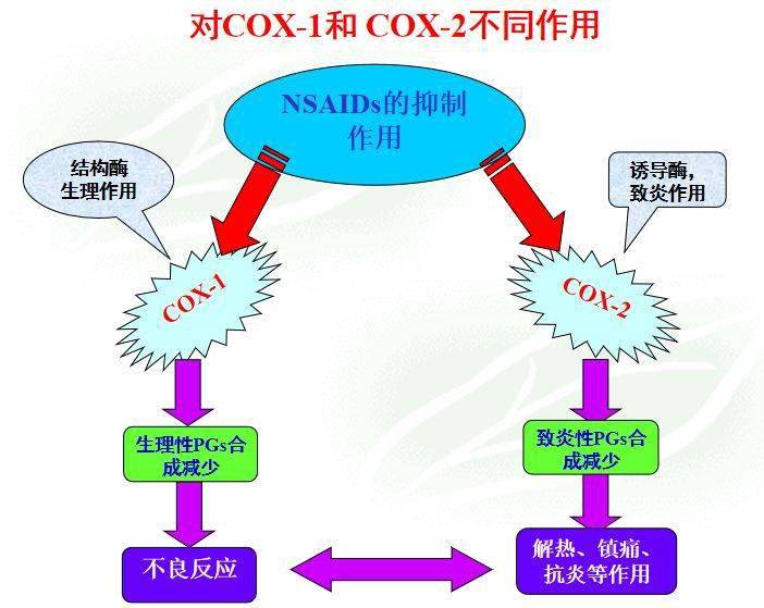 作用机制:抑制环氧化酶(cox)活性,从而抑制前列腺素(pg)的合成.