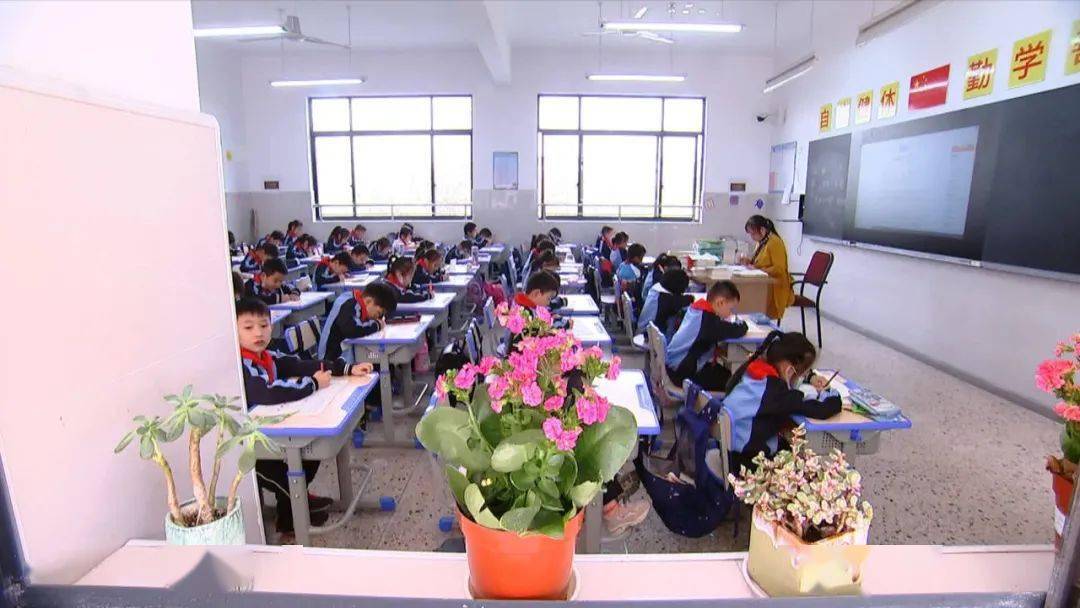 浙江伯鸿教育投资管理有限公司董事长 王志富:不光是硬件,我们整个