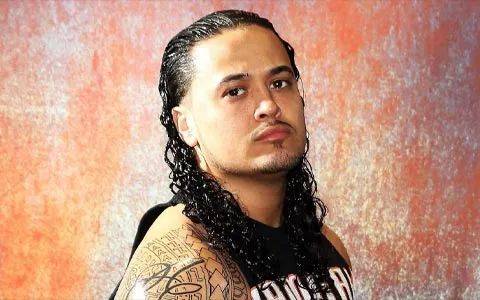 reigns)在wwe进行合作,然后对战肖恩·麦克曼(shane mcmahon)和德鲁