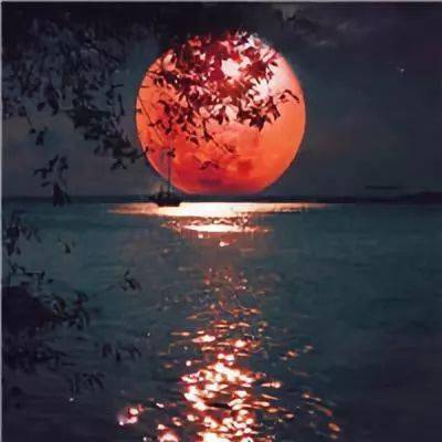 中老年头像大全:唯美简约的月亮微信头像